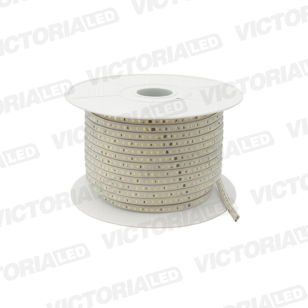 CINTA LED CON RECUBRIMIENTO PLASTICO 110V IP66 6500K